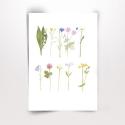Artikelbild 1 des Artikels “Blommor i rad “