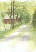 Artikelbild 1 des Artikels “Skogsväg “