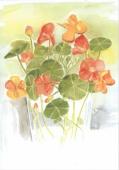 Artikelbild 1 des Artikels “Krassetrassel “
