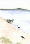 Artikelbild 1 des Artikels “Strand “
