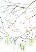 Artikelbild 1 des Artikels “Videung “