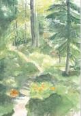 Artikelbild 1 des Artikels “Svampskog “