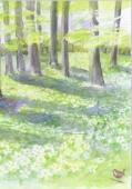 Artikelbild 1 des Artikels “Våryra “