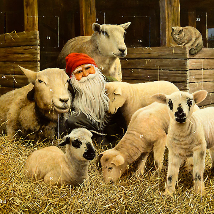Artikelbild 1 des Artikels “Adventskalender Tomte mit Schafen “