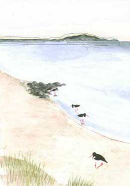 Strand
