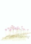 Artikelbild 2 des Artikels “Strandhugg “