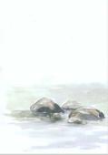 Artikelbild 2 des Artikels “Vass “