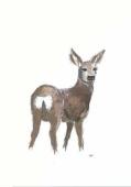 Artikelbild 2 des Artikels “Älg “