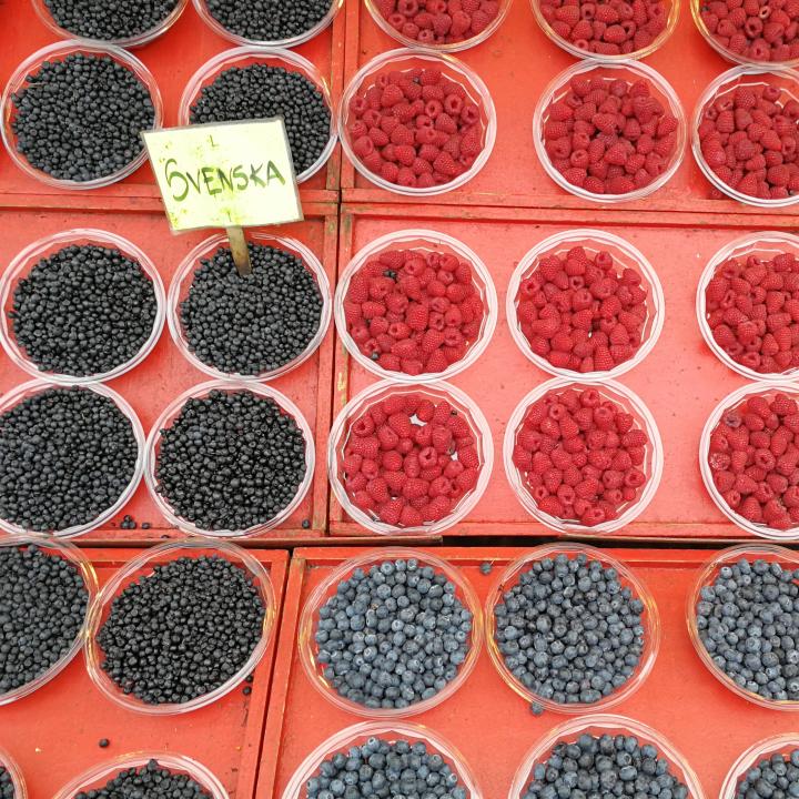 Artikelbild 2 des Artikels “Geschirrtuch Blaubeeren “