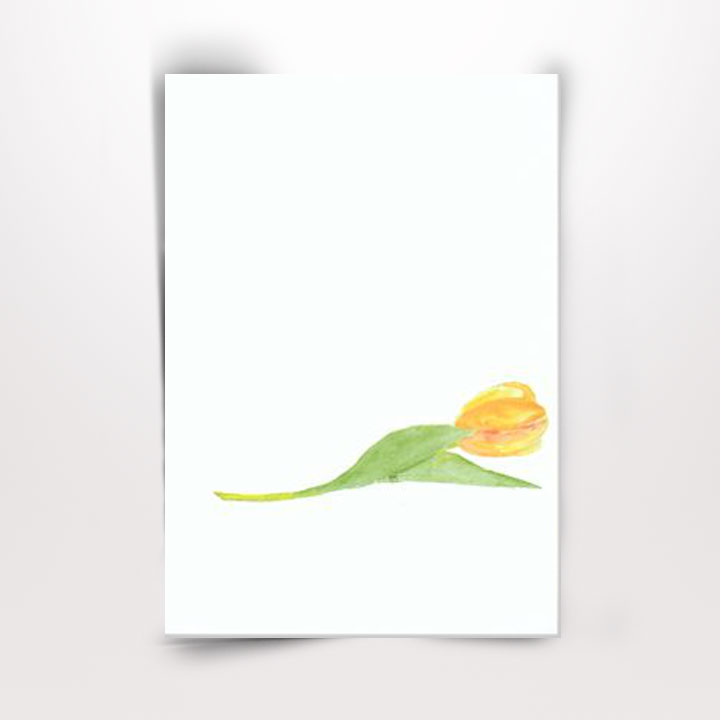 Artikelbild 2 des Artikels “Tulpaner “