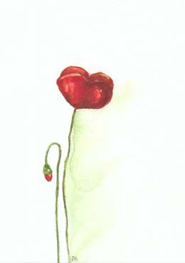Artikelbild 2 des Artikels “Vallmo “