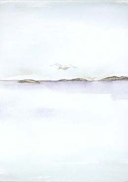 Artikelbild 2 des Artikels “Skärgård “