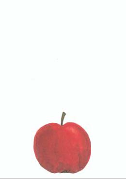 Artikelbild 2 des Artikels “Jullandskap “