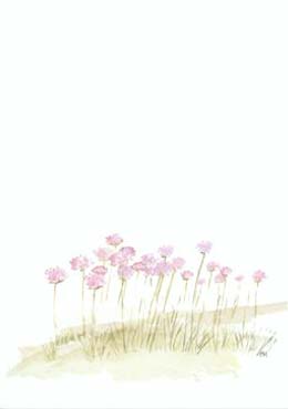 Artikelbild 2 des Artikels “Strandhugg “