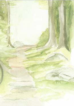 Artikelbild 2 des Artikels “Cykel “