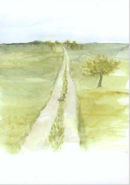 Artikelbild 2 des Artikels “Grinden “