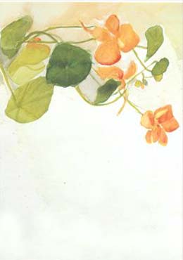 Artikelbild 2 des Artikels “Krassetrassel “