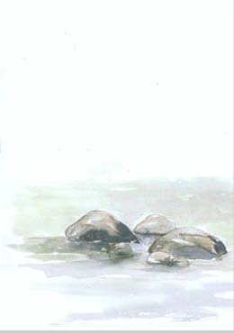 Artikelbild 2 des Artikels “Vass “