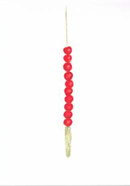 Artikelbild 2 des Artikels “Smultron “